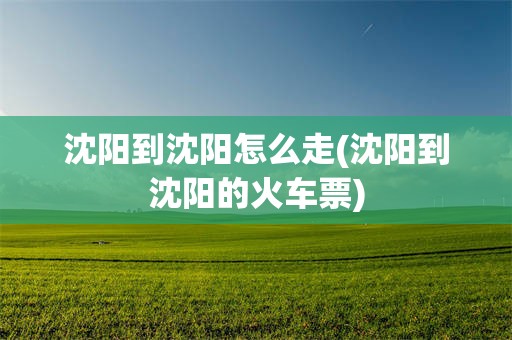 沈阳到沈阳怎么走(沈阳到沈阳的火车票)