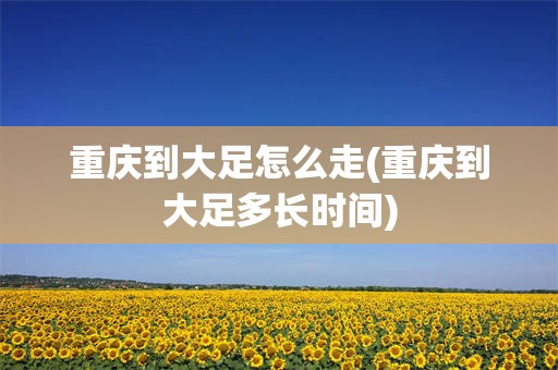 重庆到大足怎么走(重庆到大足多长时间)