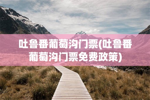 吐鲁番葡萄沟门票(吐鲁番葡萄沟门票免费政策)