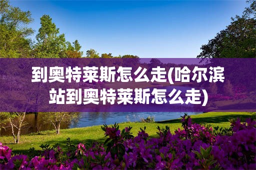 到奥特莱斯怎么走(哈尔滨站到奥特莱斯怎么走)