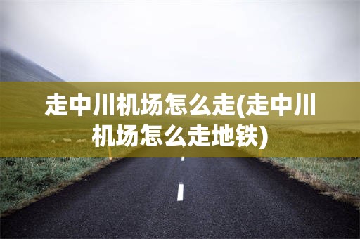走中川机场怎么走(走中川机场怎么走地铁)
