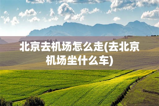 北京去机场怎么走(去北京机场坐什么车)