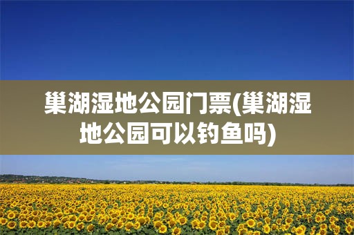 巢湖湿地公园门票(巢湖湿地公园可以钓鱼吗)