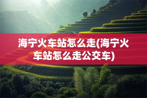 海宁火车站怎么走(海宁火车站怎么走公交车)