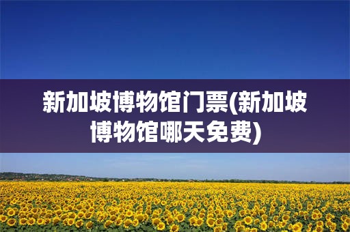 新加坡博物馆门票(新加坡博物馆哪天免费)