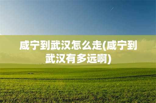 咸宁到武汉怎么走(咸宁到武汉有多远啊)