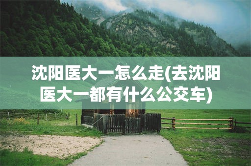 沈阳医大一怎么走(去沈阳医大一都有什么公交车)