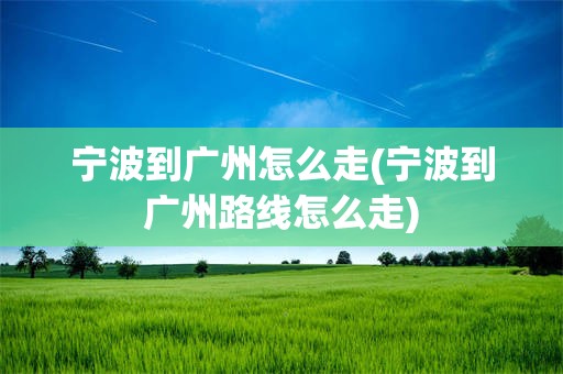 宁波到广州怎么走(宁波到广州路线怎么走)