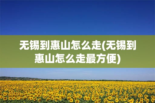 无锡到惠山怎么走(无锡到惠山怎么走最方便)