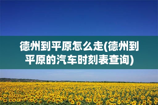 德州到平原怎么走(德州到平原的汽车时刻表查询)