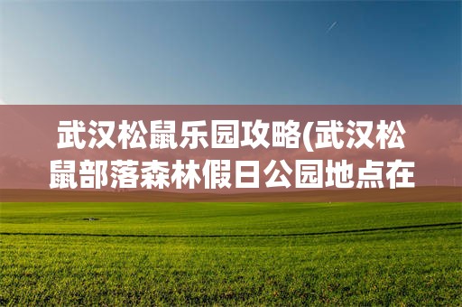 武汉松鼠乐园攻略(武汉松鼠部落森林假日公园地点在哪)