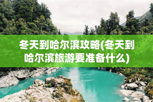 冬天到哈尔滨攻略(冬天到哈尔滨旅游要准备什么)