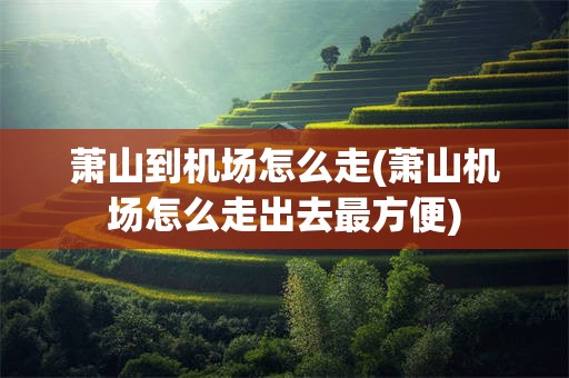 萧山到机场怎么走(萧山机场怎么走出去最方便)