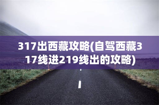 317出西藏攻略(自驾西藏317线进219线出的攻略)