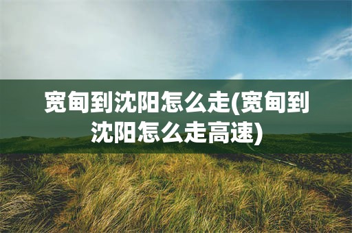 宽甸到沈阳怎么走(宽甸到沈阳怎么走高速)