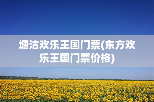 塘沽欢乐王国门票(东方欢乐王国门票价格)