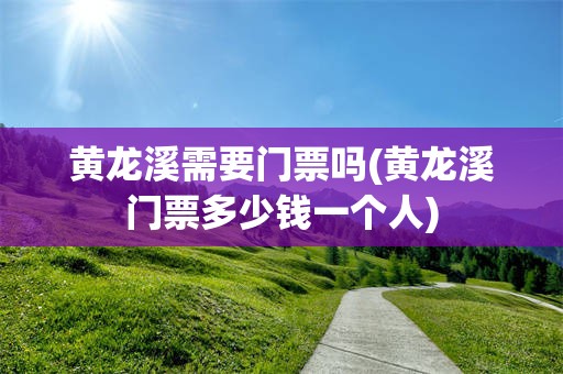 黄龙溪需要门票吗(黄龙溪门票多少钱一个人)