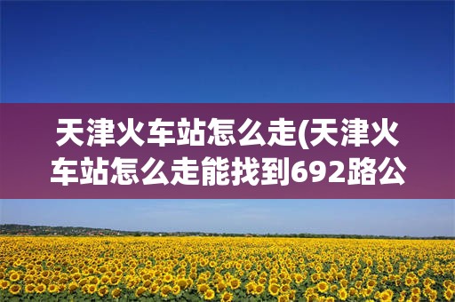 天津火车站怎么走(天津火车站怎么走能找到692路公交车)