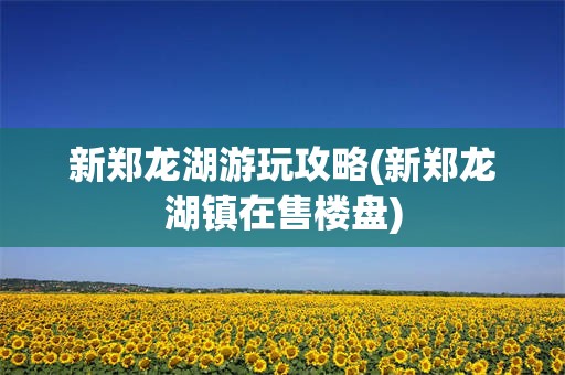 新郑龙湖游玩攻略(新郑龙湖镇在售楼盘)