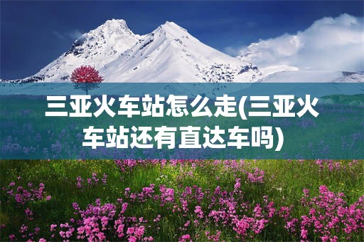 三亚火车站怎么走(三亚火车站还有直达车吗)