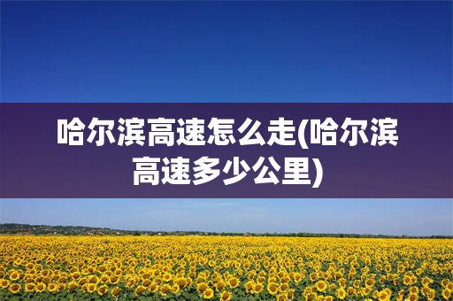 哈尔滨高速怎么走(哈尔滨高速多少公里)