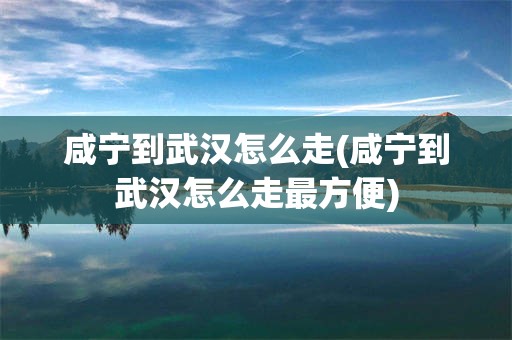 咸宁到武汉怎么走(咸宁到武汉怎么走最方便)