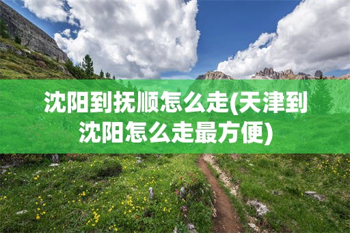 沈阳到抚顺怎么走(天津到沈阳怎么走最方便)