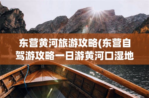 东营黄河旅游攻略(东营自驾游攻略一日游黄河口湿地公园)