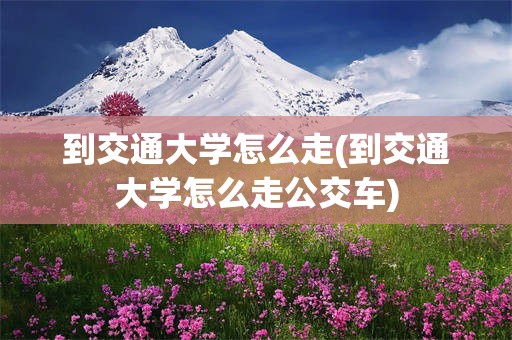 到交通大学怎么走(到交通大学怎么走公交车)