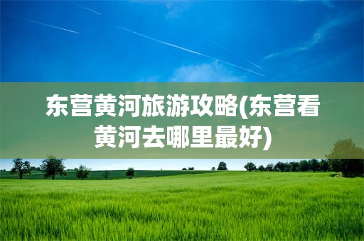 东营黄河旅游攻略(东营看黄河去哪里最好)