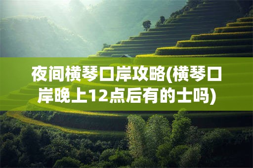 夜间横琴口岸攻略(横琴口岸晚上12点后有的士吗)