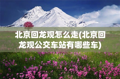 北京回龙观怎么走(北京回龙观公交车站有哪些车)