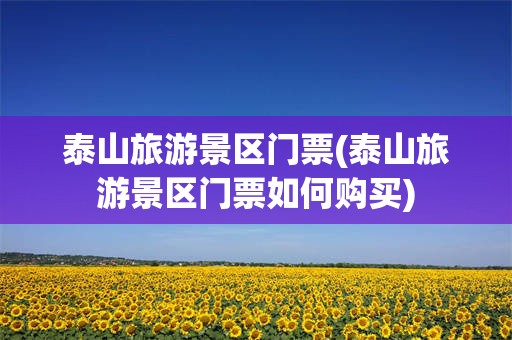 泰山旅游景区门票(泰山旅游景区门票如何购买)