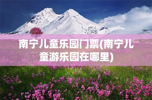 南宁儿童乐园门票(南宁儿童游乐园在哪里)