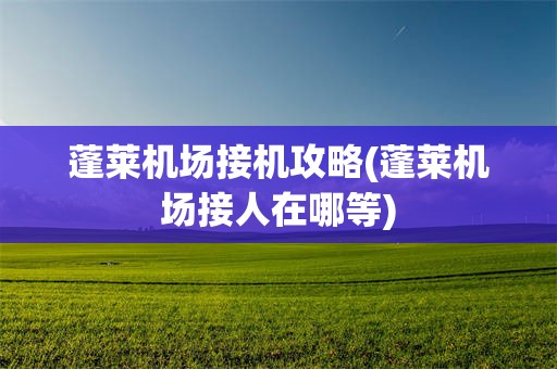 蓬莱机场接机攻略(蓬莱机场接人在哪等)
