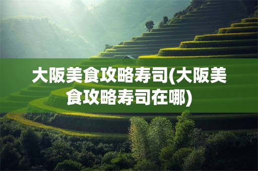 大阪美食攻略寿司(大阪美食攻略寿司在哪)