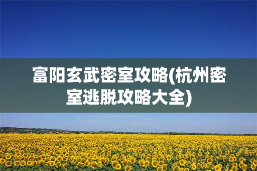 富阳玄武密室攻略(杭州密室逃脱攻略大全)