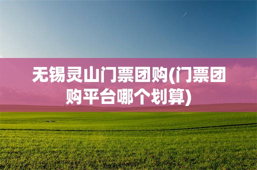 无锡灵山门票团购(门票团购平台哪个划算)