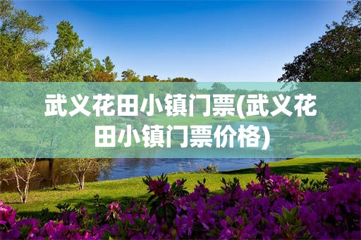 武义花田小镇门票(武义花田小镇门票价格)