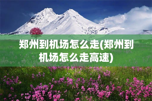 郑州到机场怎么走(郑州到机场怎么走高速)