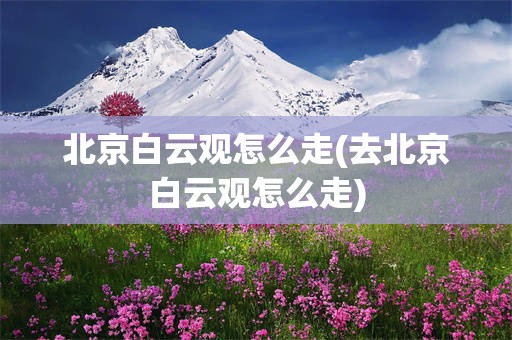 北京白云观怎么走(去北京白云观怎么走)