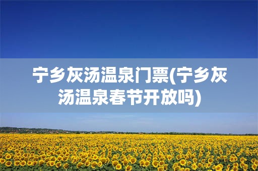 宁乡灰汤温泉门票(宁乡灰汤温泉春节开放吗)