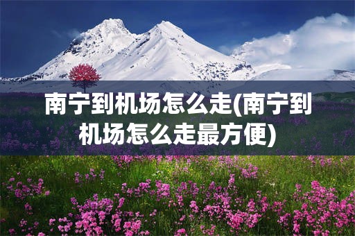 南宁到机场怎么走(南宁到机场怎么走最方便)