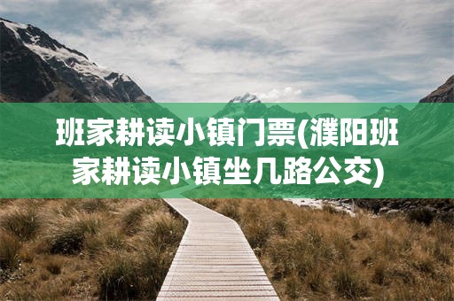 班家耕读小镇门票(濮阳班家耕读小镇坐几路公交)