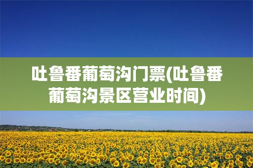 吐鲁番葡萄沟门票(吐鲁番葡萄沟景区营业时间)