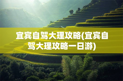 宜宾自驾大理攻略(宜宾自驾大理攻略一日游)