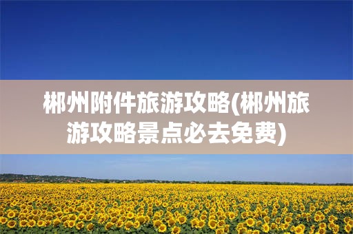 郴州附件旅游攻略(郴州旅游攻略景点必去免费)