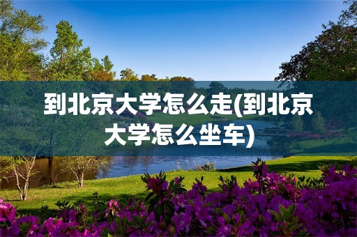 到北京大学怎么走(到北京大学怎么坐车)