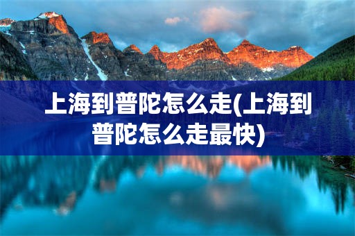 上海到普陀怎么走(上海到普陀怎么走最快)