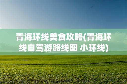 青海环线美食攻略(青海环线自驾游路线图 小环线)